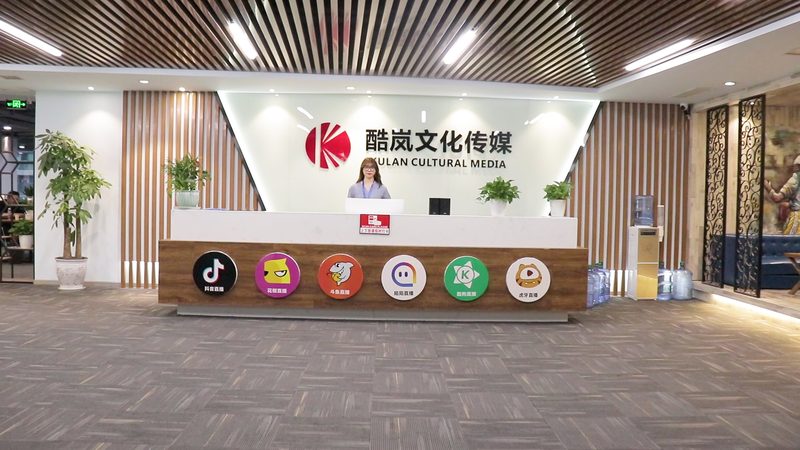 品牌媒介投放流程步骤解析
