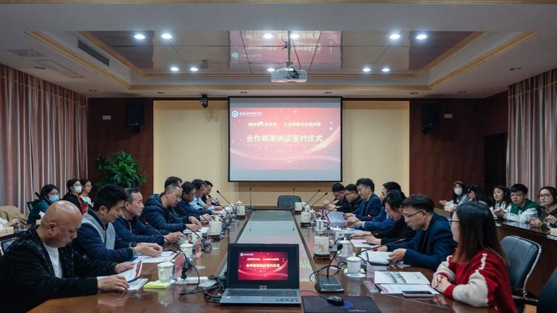 品牌策划方案：解码其优缺点，助力企业精准决策