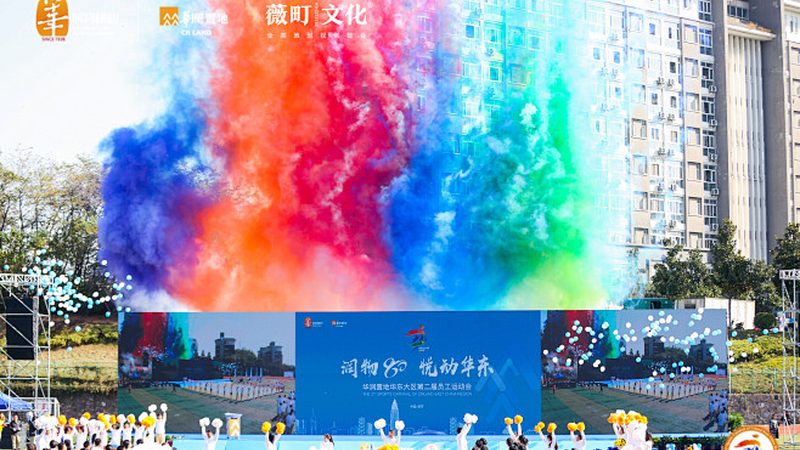 企业VI设计规范手册：打造品牌形象的基石